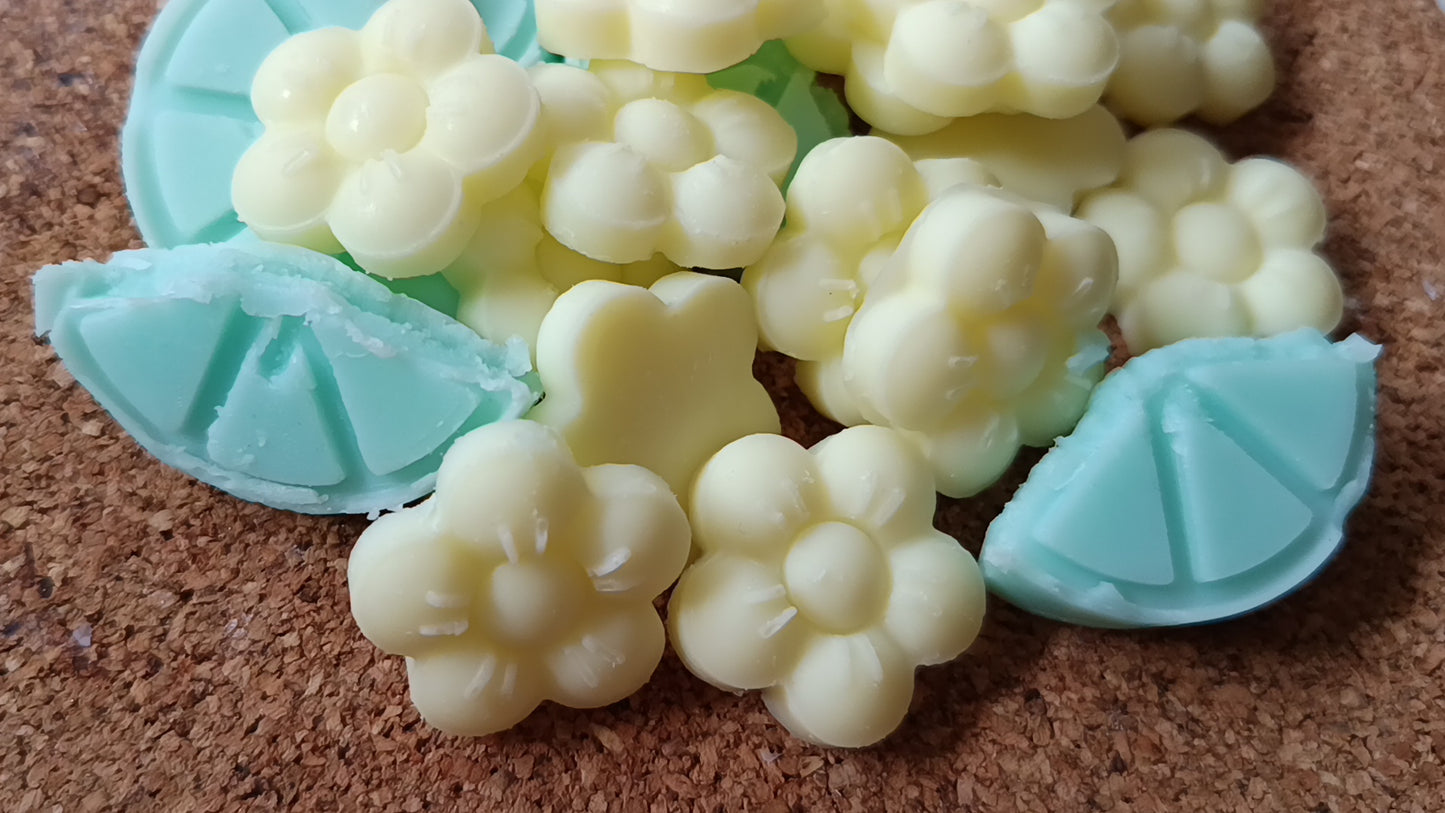 Wax Melts Yverd · BlossyArome | Aralia Candles
