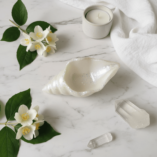 Concha Sirena | Aralia Candles