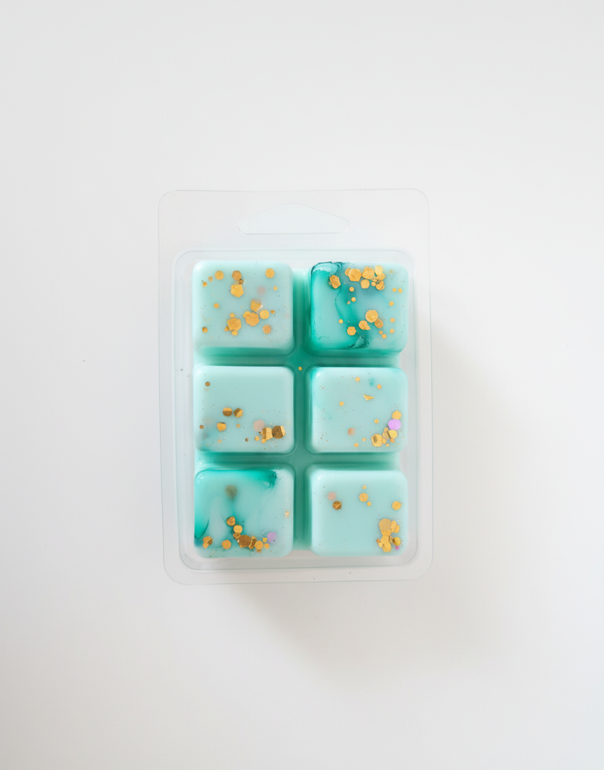 Foto de stock waxmelt jardin oculto Aralia Candles